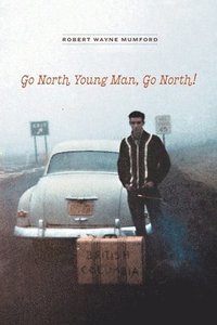 bokomslag Go North Young Man, Go North!