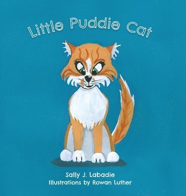 Little Puddie Cat 1