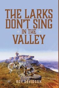 bokomslag The Larks Don't Sing in the Valley