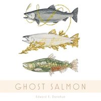 bokomslag Ghost Salmon