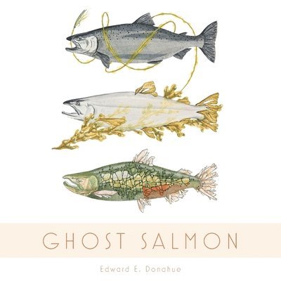 Ghost Salmon 1