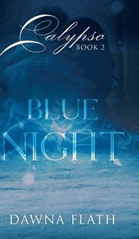bokomslag Blue Night