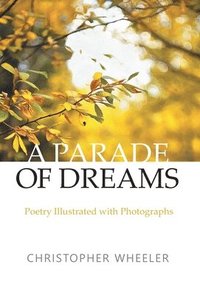 bokomslag Parade of Dreams