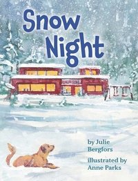 bokomslag Snow Night