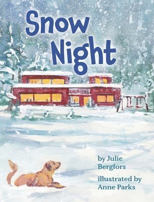 bokomslag Snow Night
