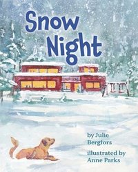 bokomslag Snow Night