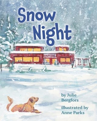 Snow Night 1