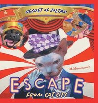 bokomslag Escape from Cat City 2
