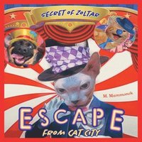 bokomslag Escape from Cat City 2