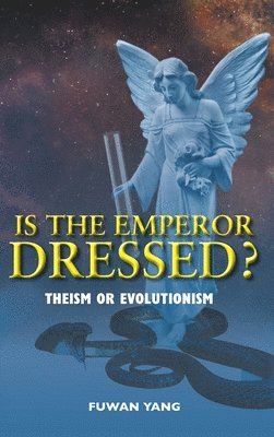 bokomslag Is The Emperor Dressed?
