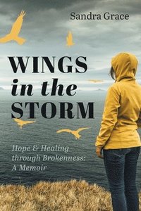 bokomslag Wings in the Storm