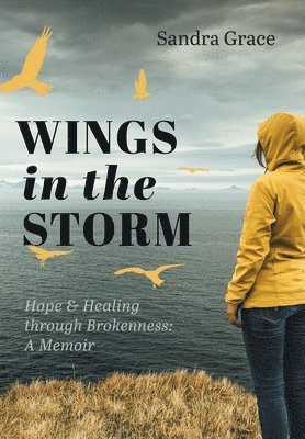 bokomslag Wings in the Storm