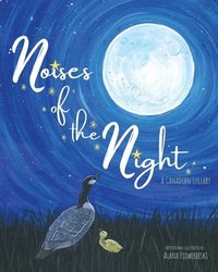 bokomslag Noises of the Night