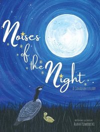 bokomslag Noises of the Night
