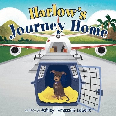 Harlow's Journey Home 1