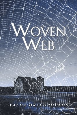 Woven Web 1