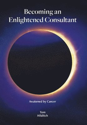 Becoming an Enlightened Consultant 1