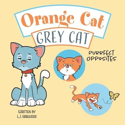 Orange Cat Grey Cat 1