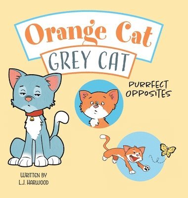 Orange Cat Grey Cat 1