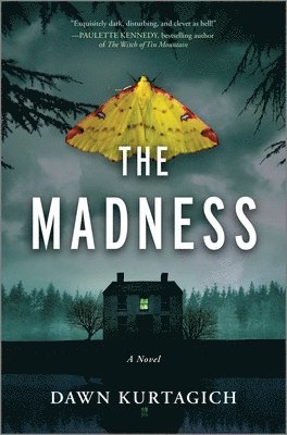 Dawn Kurtagich - Madness, Inbunden