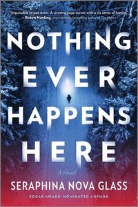 bokomslag Nothing Ever Happens Here: A Thriller