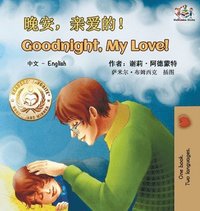 bokomslag Goodnight, My Love! (Mandarin English Bilingual Book - Chinese Simplified)