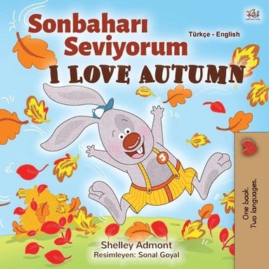 bokomslag I Love Autumn (Turkish English Bilingual Book for Kids)