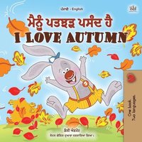 bokomslag I Love Autumn (Punjabi English Bilingual Children's Book)