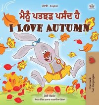 bokomslag I Love Autumn (Punjabi English Bilingual Children's Book)