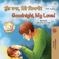 bokomslag Goodnight, My Love! (Punjabi English Bilingual Book for Kids - Gurmukhi)