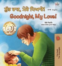 bokomslag Goodnight, My Love! (Punjabi English Bilingual Book for Kids - Gurmukhi)