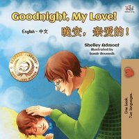 bokomslag Goodnight, My Love! (English Chinese Bilingual Book for Kids - Mandarin Simplified)
