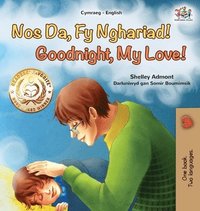 bokomslag Goodnight, My Love! (Welsh English Bilingual Book for Kids)