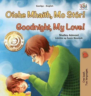 bokomslag Goodnight, My Love! (Irish English Bilingual Children's Book)