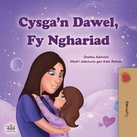 bokomslag Sweet Dreams, My Love (Welsh Children's Book)