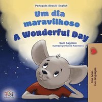 bokomslag A Wonderful Day (Brazilian Portuguese English Bilingual Book for Kids)