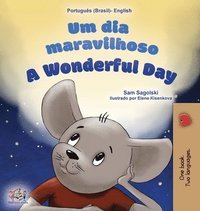 bokomslag A Wonderful Day (Brazilian Portuguese English Bilingual Book for Kids)