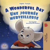 bokomslag A Wonderful Day (English French Bilingual Children's Book)