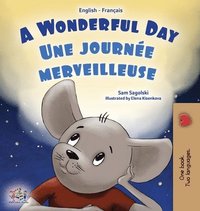 bokomslag A Wonderful Day (English French Bilingual Children's Book)