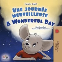 bokomslag A Wonderful Day (French English Bilingual Book for Kids)