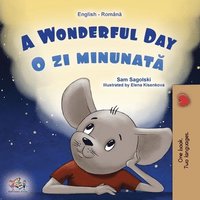 bokomslag A Wonderful Day (English Romanian Bilingual Book for Kids)
