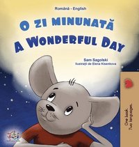 bokomslag A Wonderful Day (Romanian English Bilingual Children's Book)