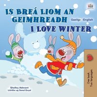 bokomslag I Love Winter (Irish English Bilingual Kids Book)