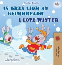 bokomslag I Love Winter (Irish English Bilingual Kids Book)