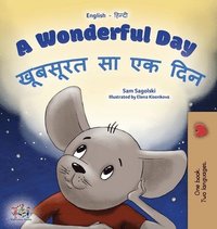 bokomslag A Wonderful Day (English Hindi Bilingual Children's Book)