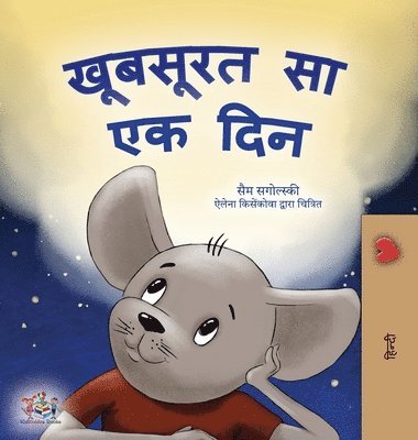 A Wonderful Day (Hindi Children's Book) 1