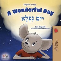 bokomslag A Wonderful Day (English Hebrew Bilingual Children's Book)