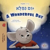 Sam Sagolski, Kidkiddos Books - A Wonderful Day (Hebrew English Bilingual Children's Book), Häftad