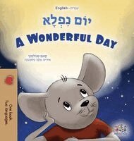 Sam Sagolski, Kidkiddos Books - A Wonderful Day (Hebrew English Bilingual Children's Book), Inbunden