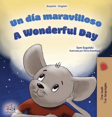 Sam Sagolski, Kidkiddos Books, KidKiddos Books - A Wonderful Day (Spanish English Bilingual Children's Book), Inbunden